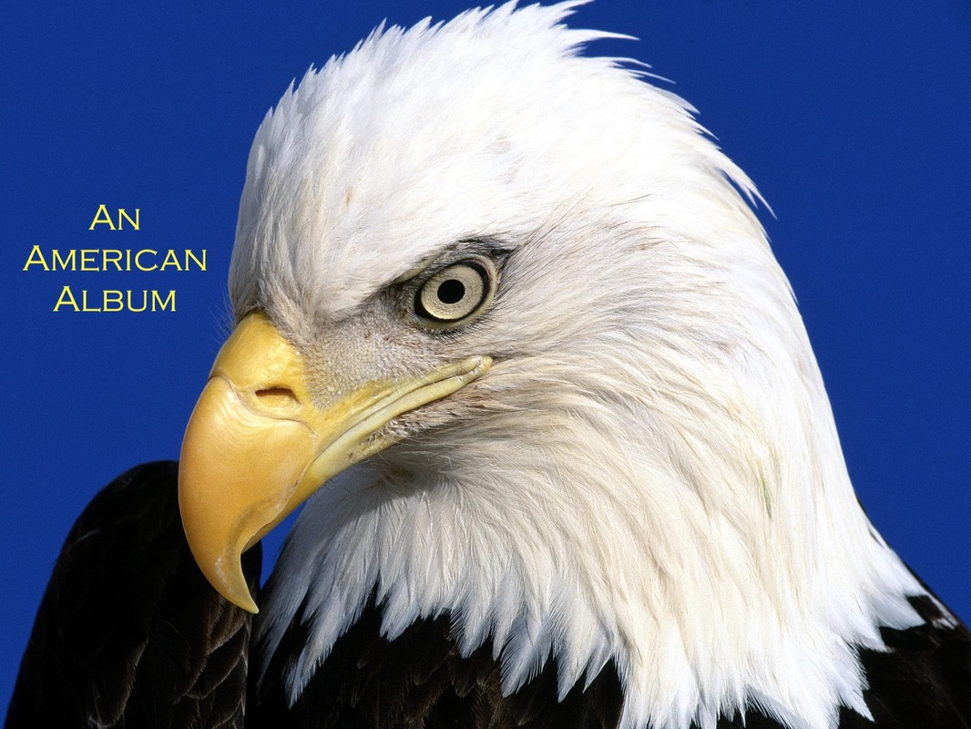 Eagle R